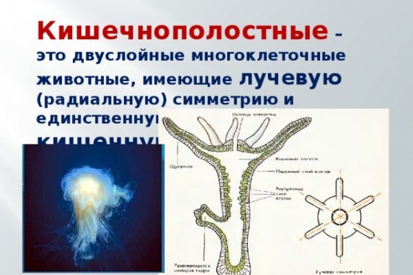 Кракен телеграм